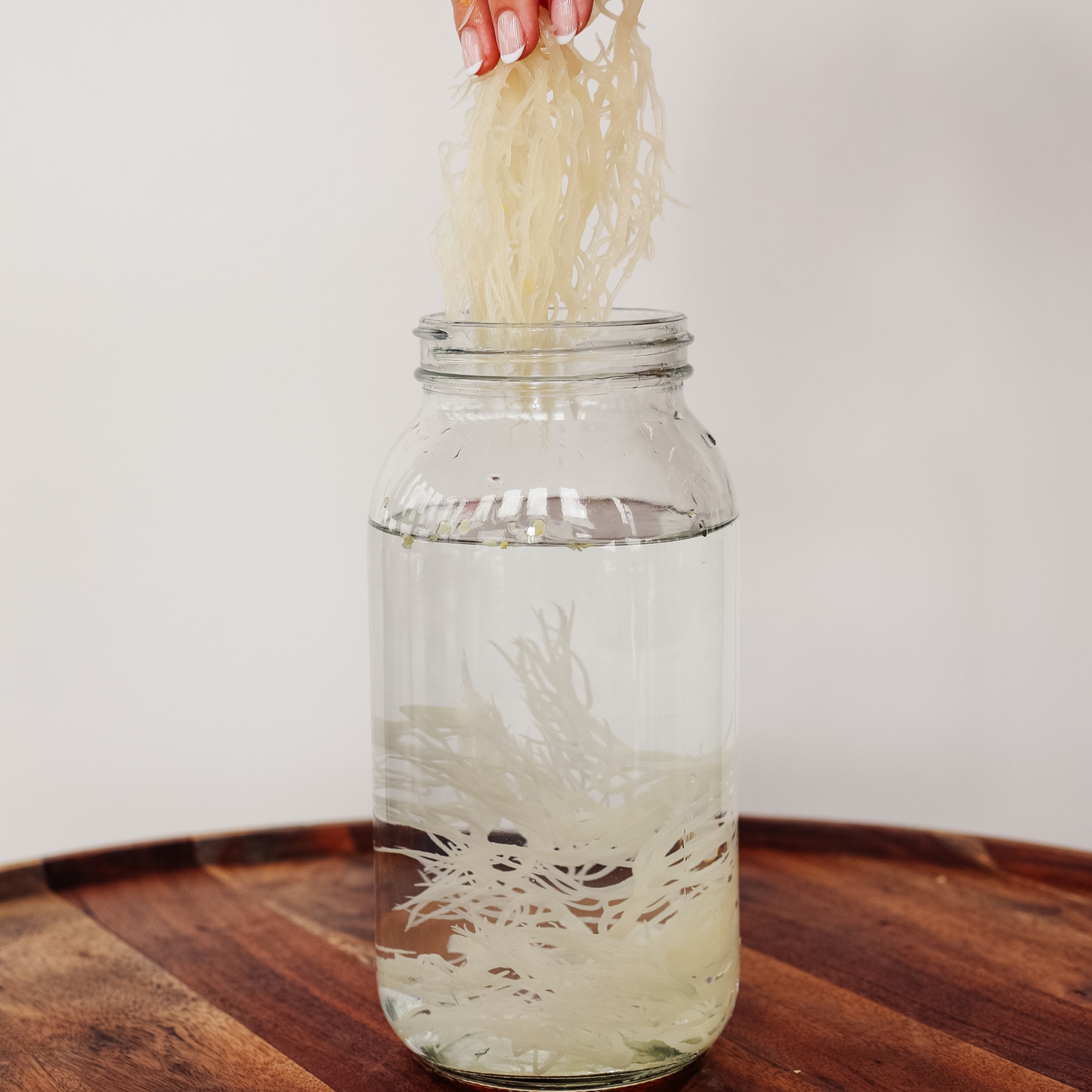 Wildcrafted Sea Moss Gel