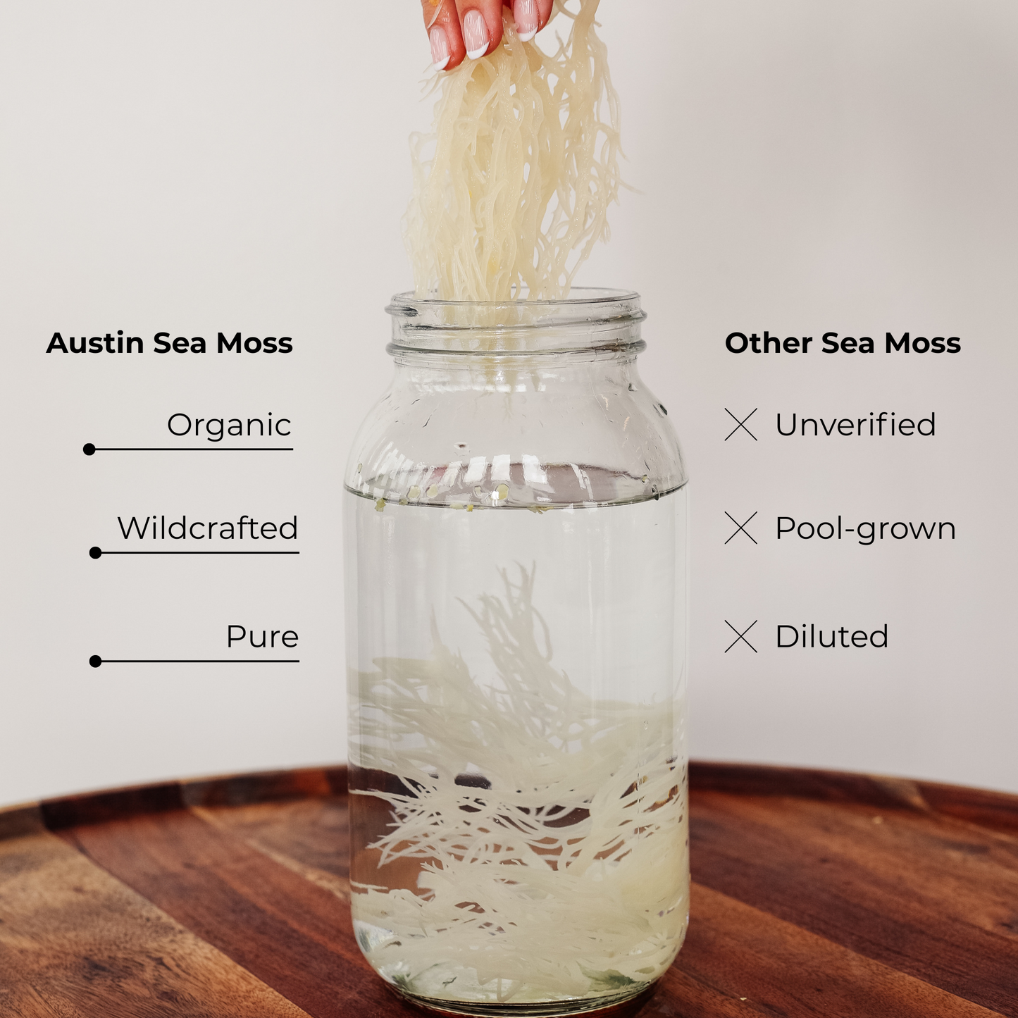 Wildcrafted Sea Moss Gel